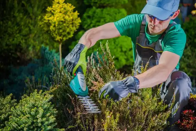 landscaping services Wauneta
